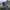 Starter 33 Roy Montreal Canadiens NHL hat photo 2