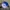 Starter Toronto Blue Jays hat photo 3