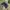 Vintage Twin Enterprise, inc Dallas Cowboys NFL hat photo 8