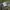 New Era Golf White Hat photo 1