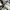 Converse Casual Sneakers Pria white black photo 5
