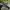 New Era NY Yankees MLB hat photo 2