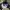 New Era NY Yankees MLB hat photo 5
