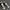 Converse Casual Sneakers Pria white black photo 3