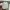 Airpods 4 ANC BliBl* Garansi resmi photo 2