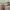 Beige Short photo 4