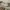 Beige Short photo 2