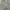 Beige Short photo 1