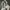 Converse Chuck 70 High 'Wolf Grey' 170552C photo 8
