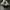 Converse Chuck 70 High 'Wolf Grey' 170552C photo 3