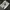 Converse Chuck 70 High 'Wolf Grey' 170552C photo 1