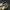 VANS UA Authentic VR3 SF CHECKERBOARD BROWN MARSHMALLOW OG 2 photo 2