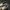 VANS UA Authentic VR3 SF CHECKERBOARD BROWN MARSHMALLOW OG 2
