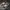 VANS UA Authentic VR3 SF CHECKERBOARD BROWN MARSHMALLOW OG 2 photo 1