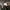 VANS UA Authentic VR3 SF CHECKERBOARD BROWN MARSHMALLOW OG 2 photo 8