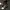 CONVERSE Chuck Taylor All Star 134305C photo 8