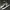CONVERSE Chuck Taylor All Star 134305C photo 1