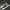 CONVERSE Chuck Taylor All Star 134305C