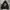 Dissizit hoodie photo 1