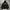 Dissizit hoodie photo 2