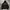 Dissizit Hoodie