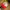 Ash Ketchum Hat- Original Pokemon Cap photo 1