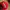 Ash Ketchum Hat- Original Pokemon Cap photo 7
