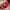 Ash Ketchum Hat- Original Pokemon Cap photo 4