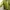 Casual Parka Wanita green photo 4