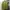 Casual Parka Wanita green photo 5