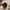ORI: Corkcircle Kids Tumbler X Marvel photo 4