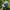 TOPI MARK AND LONA LUXURY GOLF SECOND photo 2