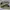 Sepatu Converse All Star Pro BB photo 3