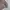 Knitwear vintage basic by Topten photo 2