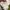 thisisneverthat Vintage Streetwear Sweatshirt Pria white photo 6