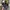 Nike tn photo 1