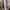 Repit Curling Iron 32mm photo 4