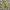 H&M Streetwear Y2K Crop Top Wanita Green
