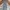 Celana jeans blue 31 unik photo 2