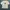 Loewe Luxury Casual T-shirt Pria pink photo 1