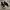 Converse lunarlon star chuck taylor II photo 2