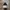 Converse lunarlon star chuck taylor II photo 3