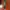 Raket Tenis Wilson US OPEN BLX 100 photo 4