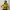 Turtle Neck Cutton On