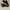 Adidas nmd R2 black future Harvest photo 1