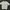Oversized T-Shirts