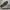 Sepatu Converse CT 70 x Lay Zhang photo 6