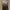 Turtleneck Sleeveless Top