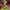 designer colorful outfit photo 1