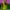 designer colorful outfit photo 2